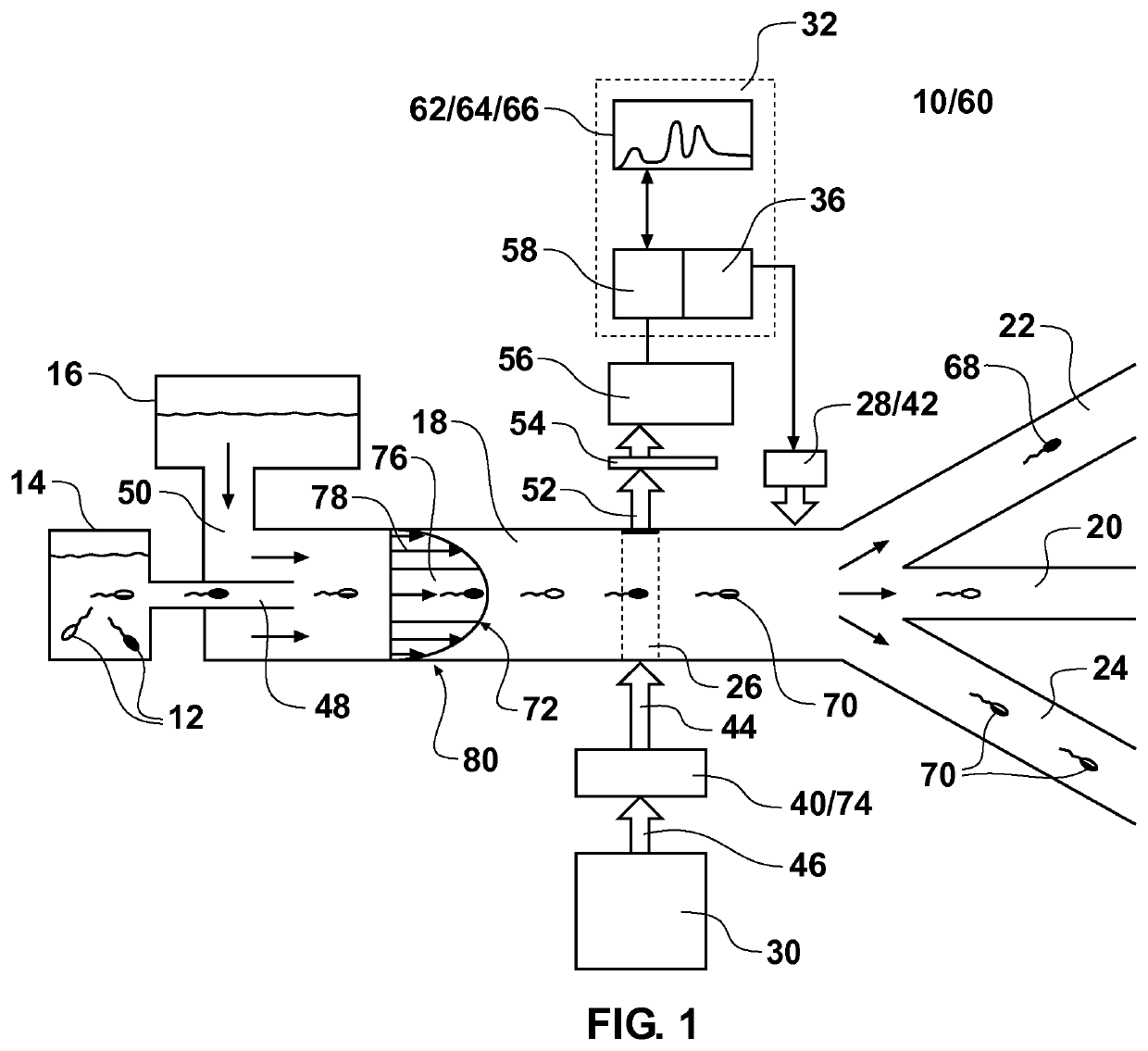 Methods for high throughput sperm sorting