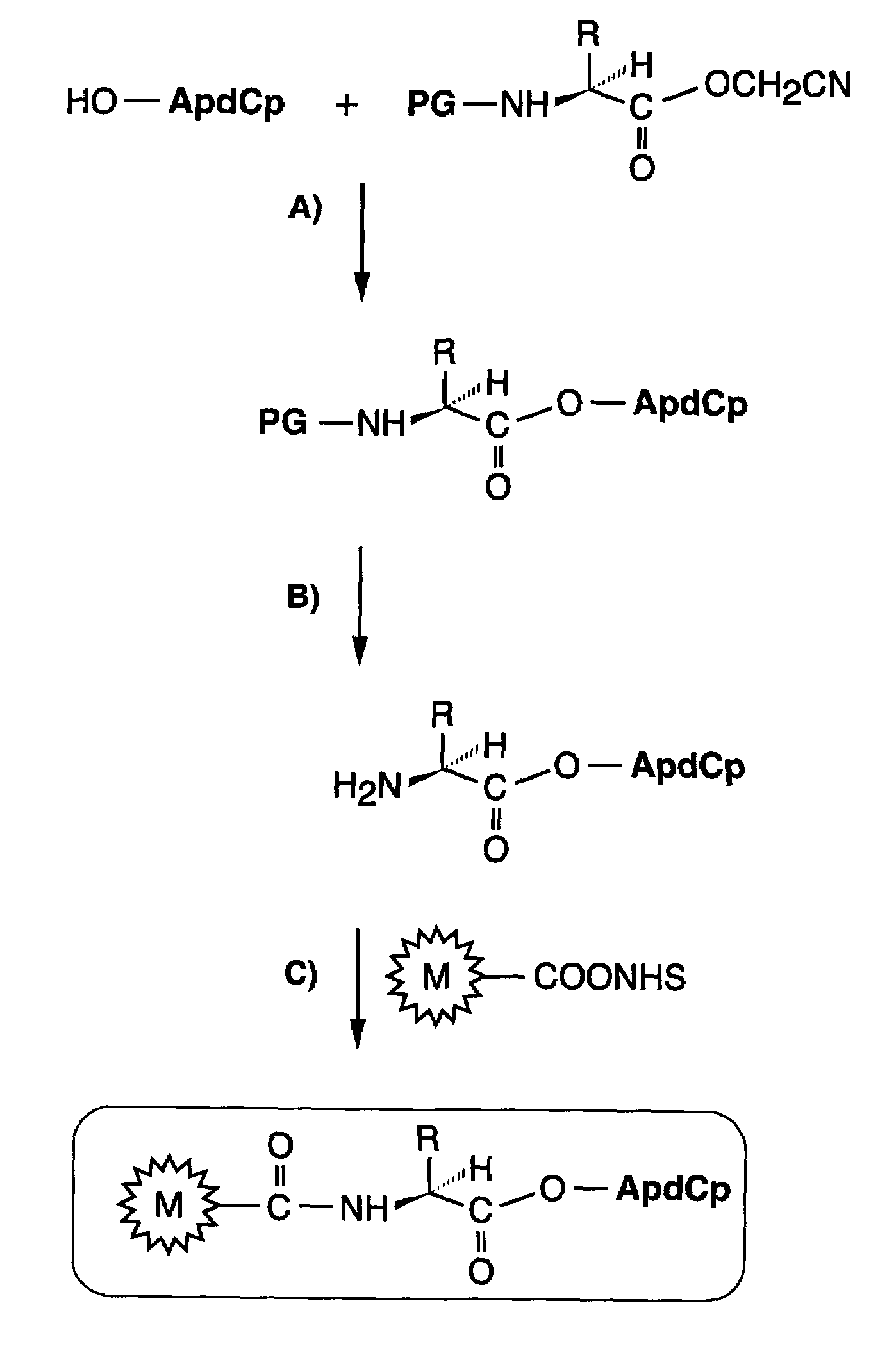 Methods for the preparation of chemically misaminoacylated tRNA via protective groups