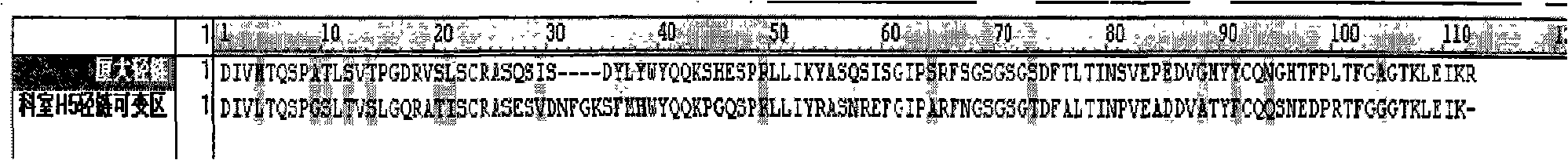 H5 subtype bird-flue virus H5N1 hemagglutinin monoclonal antibody and nucleic acid sequence and preparation method thereof