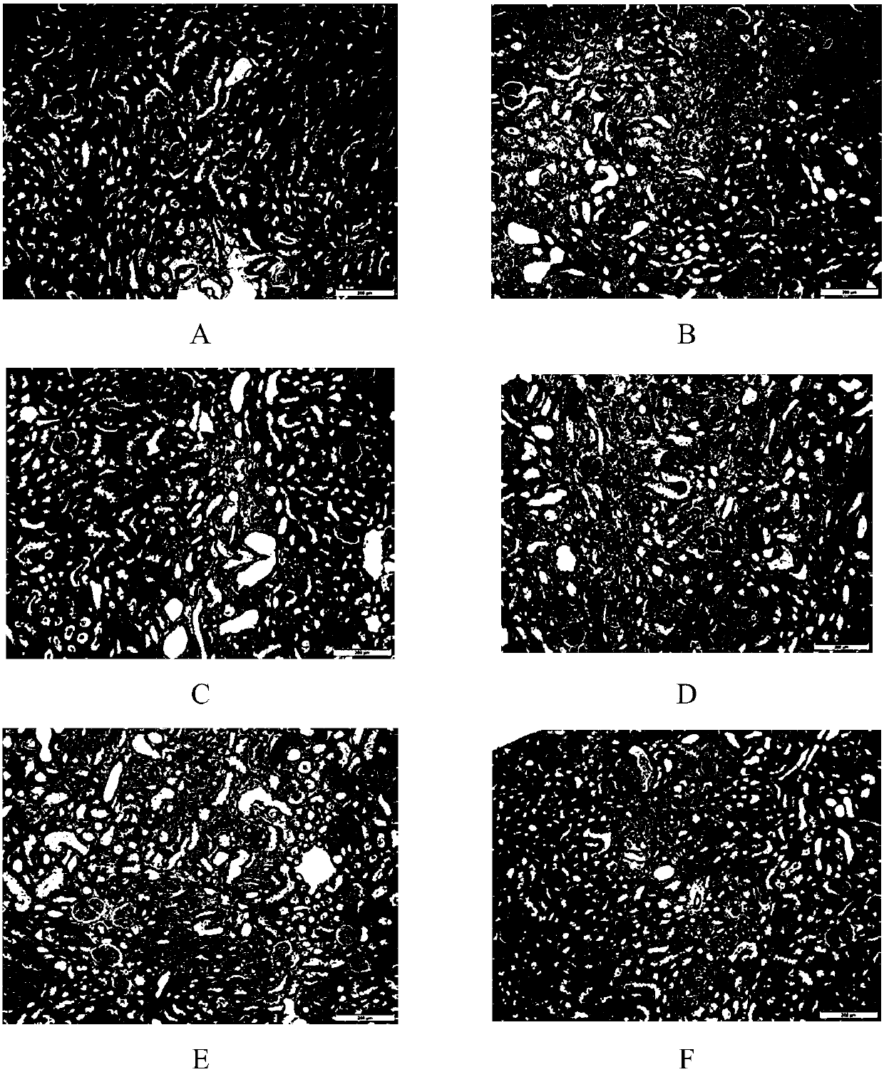 Novel application of cordyceps sobolifera sporocarps