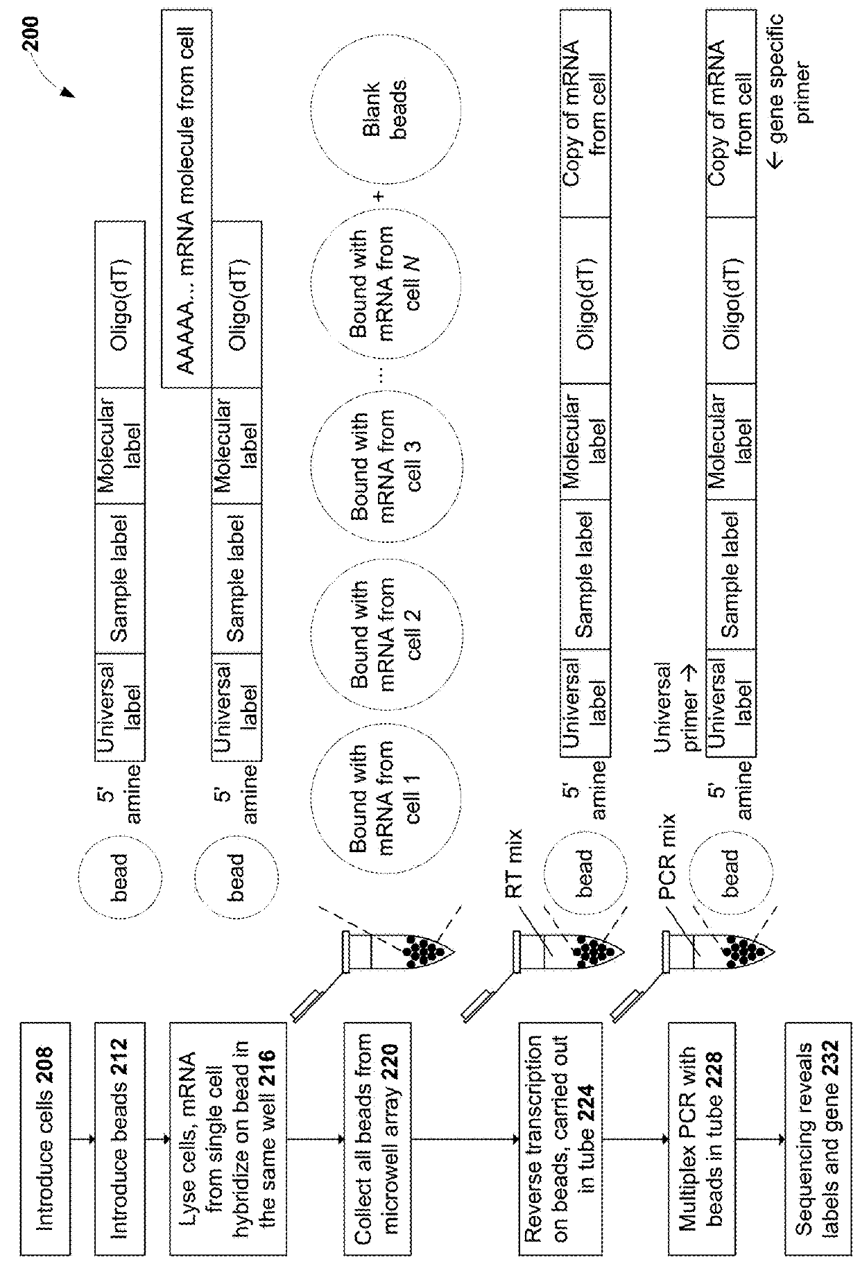 Measurement of protein expression using reagents with barcoded oligonucleotide sequences
