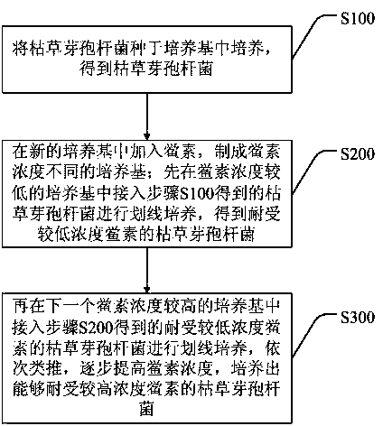 A kind of bacillus subtilis tolerant to limulusin and preparation method thereof