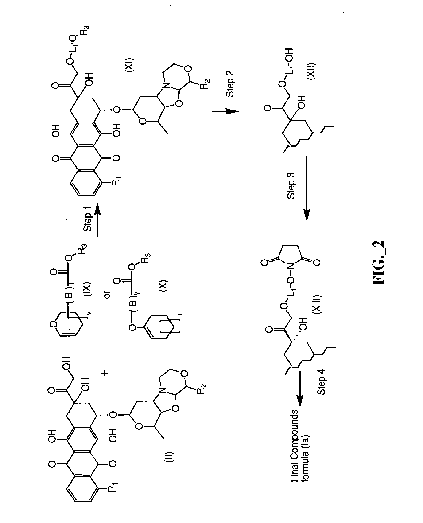 Anthracycline derivative conjugates, process for their preparation and their use as antitumor compounds