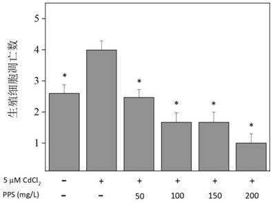 Method for evaluating heavy metal reproductive toxicity resistance effect of traditional Chinese medicine polysaccharide extract