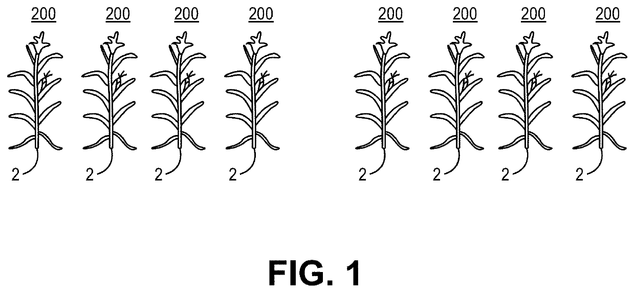 Agricultural Systems Having Stalk Sensors And/Or Data Visualization Systems And Related Devices And Methods
