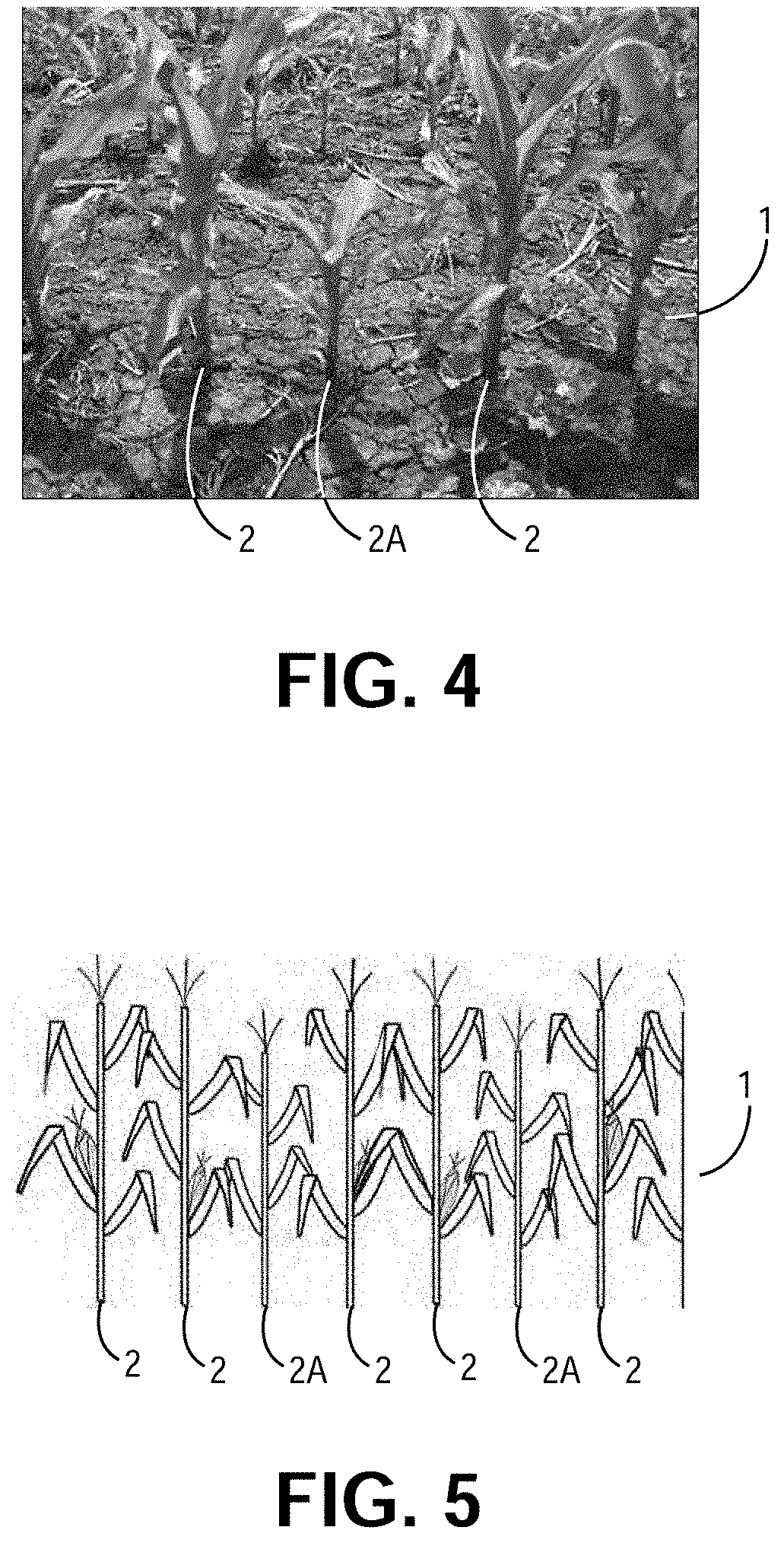 Agricultural Systems Having Stalk Sensors And/Or Data Visualization Systems And Related Devices And Methods