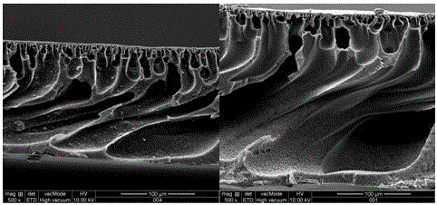 A kind of polymer film with improved antifouling performance and preparation method thereof