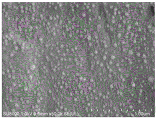 A kind of polymer film with improved antifouling performance and preparation method thereof