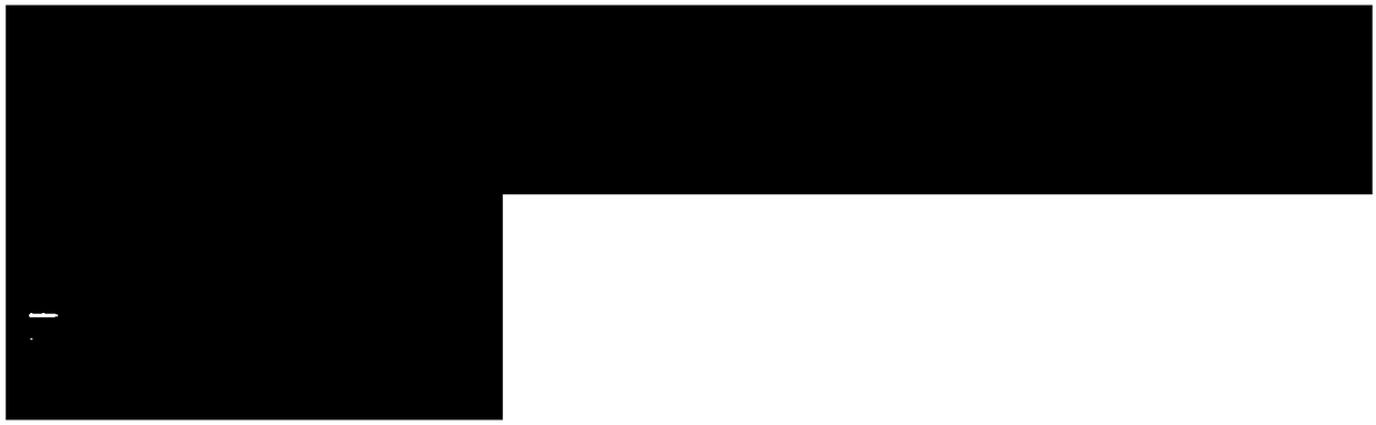 Improved promoter, T carrier composed of promoter, and applications of promoter