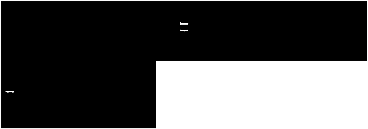 Improved promoter, T carrier composed of promoter, and applications of promoter