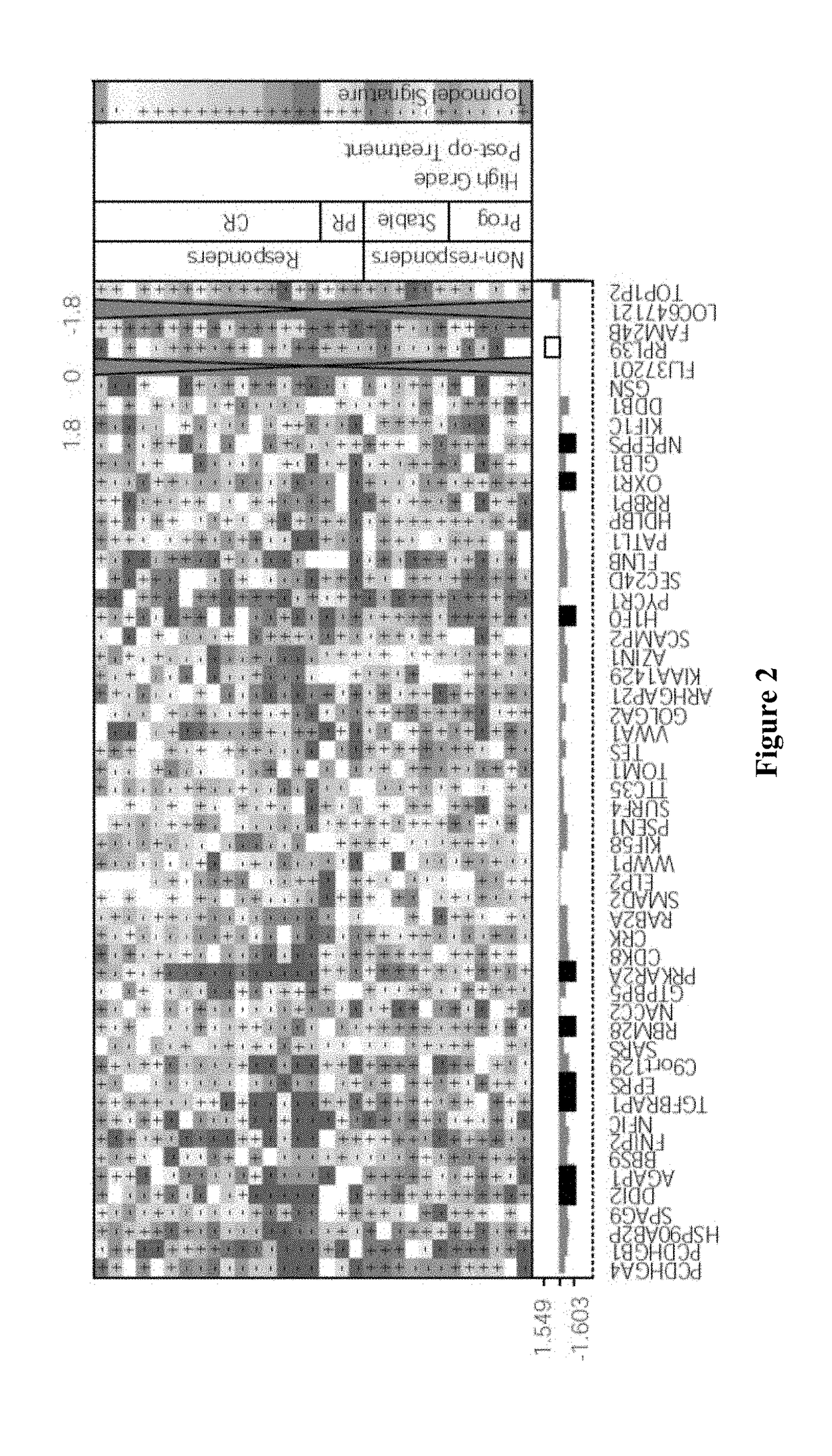 Systems and Methods for Response Prediction to Chemotherapy in High Grade Bladder Cancer