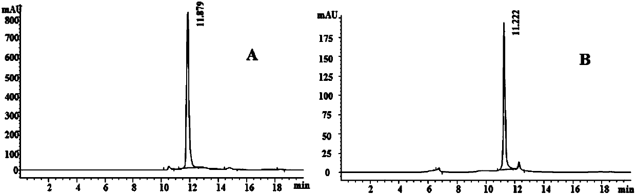 Ficus pumila leaf polysaccharides, preparation method thereof and use thereof in the preparation of anti-complement drugs