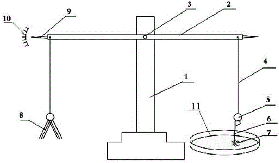Simple device and measuring method for measuring adhesive force of small insects and liquid
