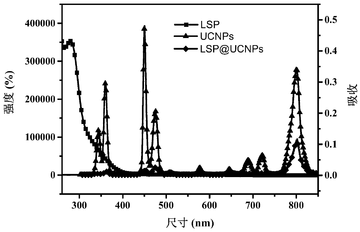 A nanocarrier for near-infrared light-triggered release of chemotherapeutic drugs and its preparation method