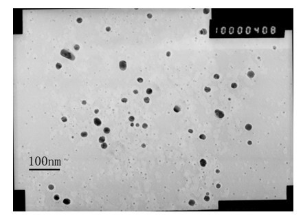 Polysaccharide-nano silver sol and preparation method thereof