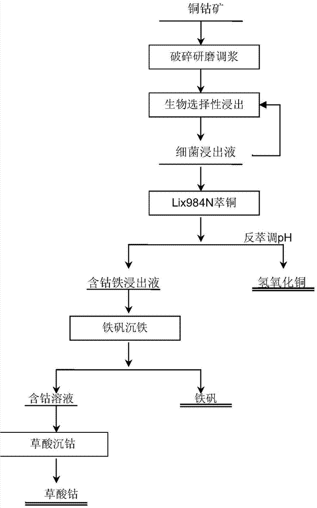 Biological selectivity leaching method of low-grade copper-cobalt ore