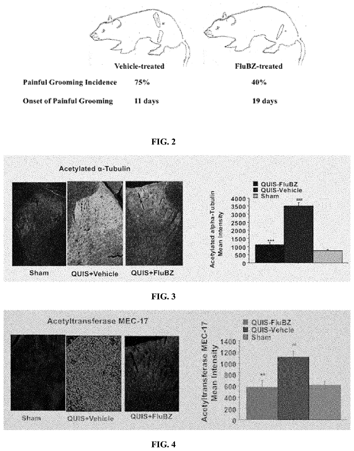 Attenuation of neuropathic pain after spinal cord injury