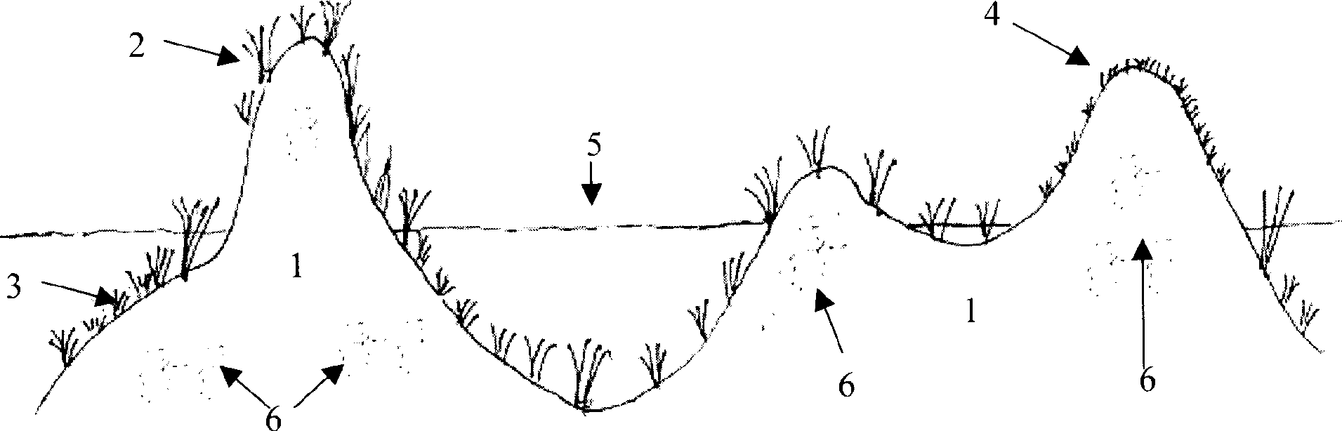 Landscape water treating system