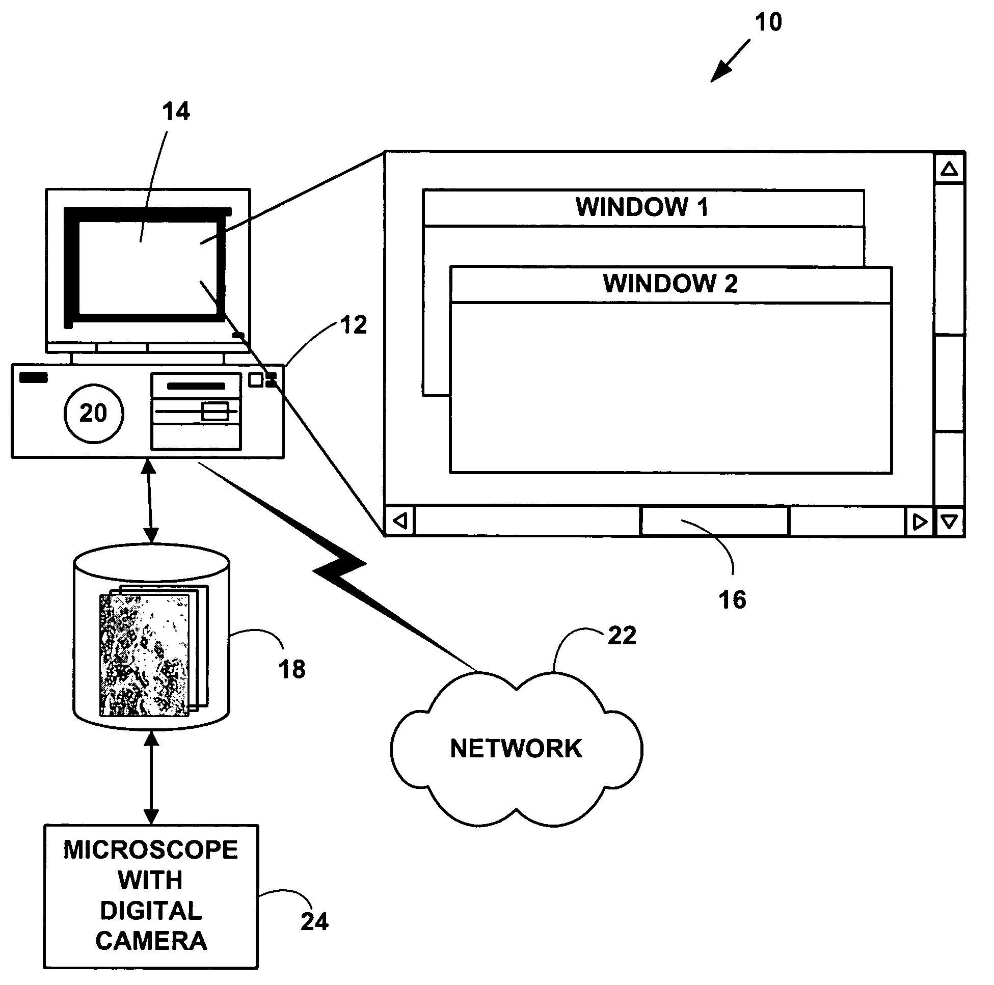 Method and system for quantitatively analyzing biological samples