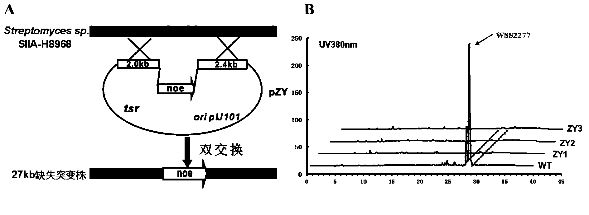 Biosynthesis gene cluster of polyenoid and polyol macrolide compound