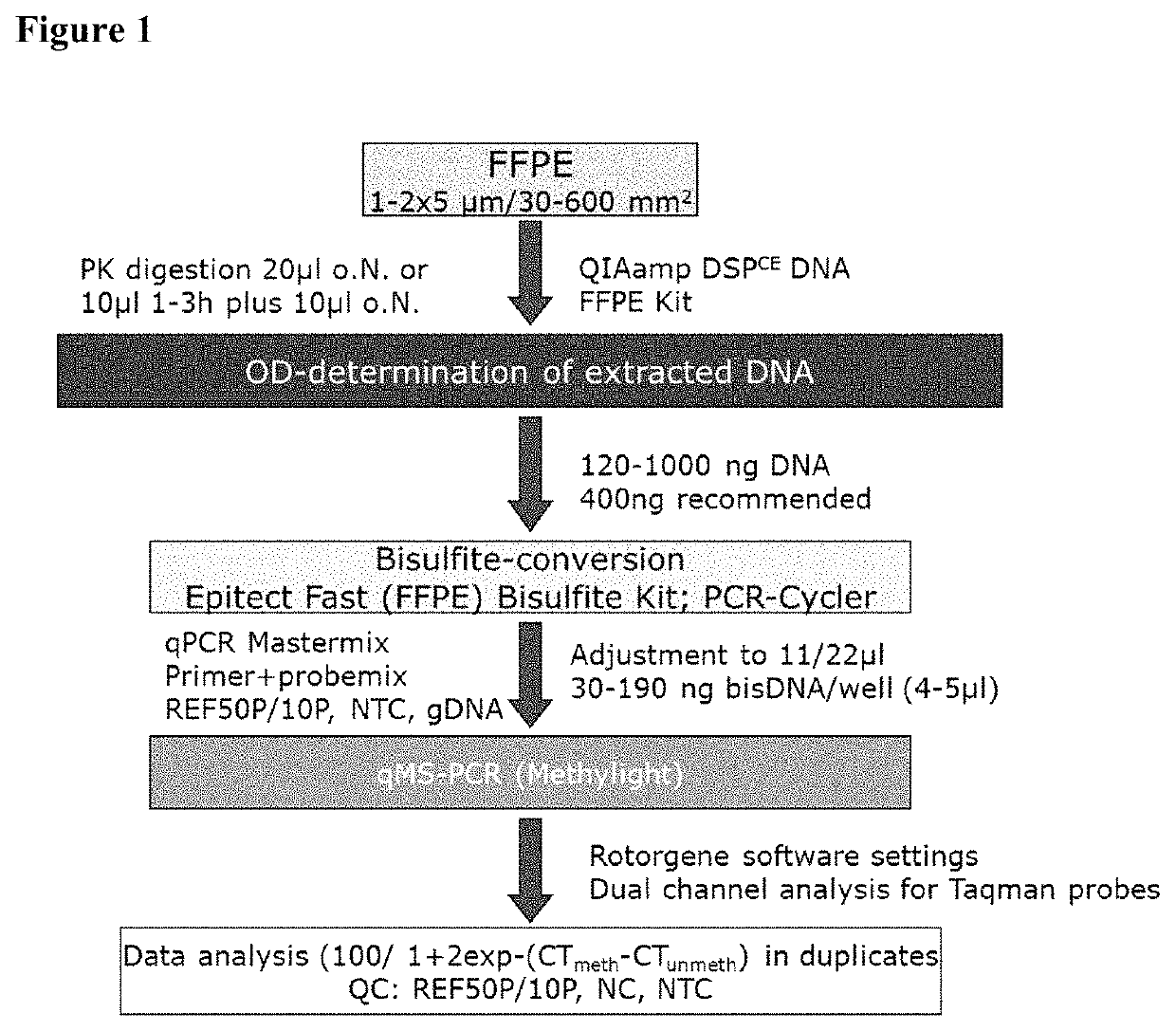 Methods for assessing the treatment response of TNBC patients to neo-adjuvant chemotherapy by analysing CpG methylation