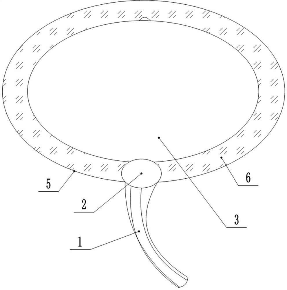 Auxiliary bladder perfusion device