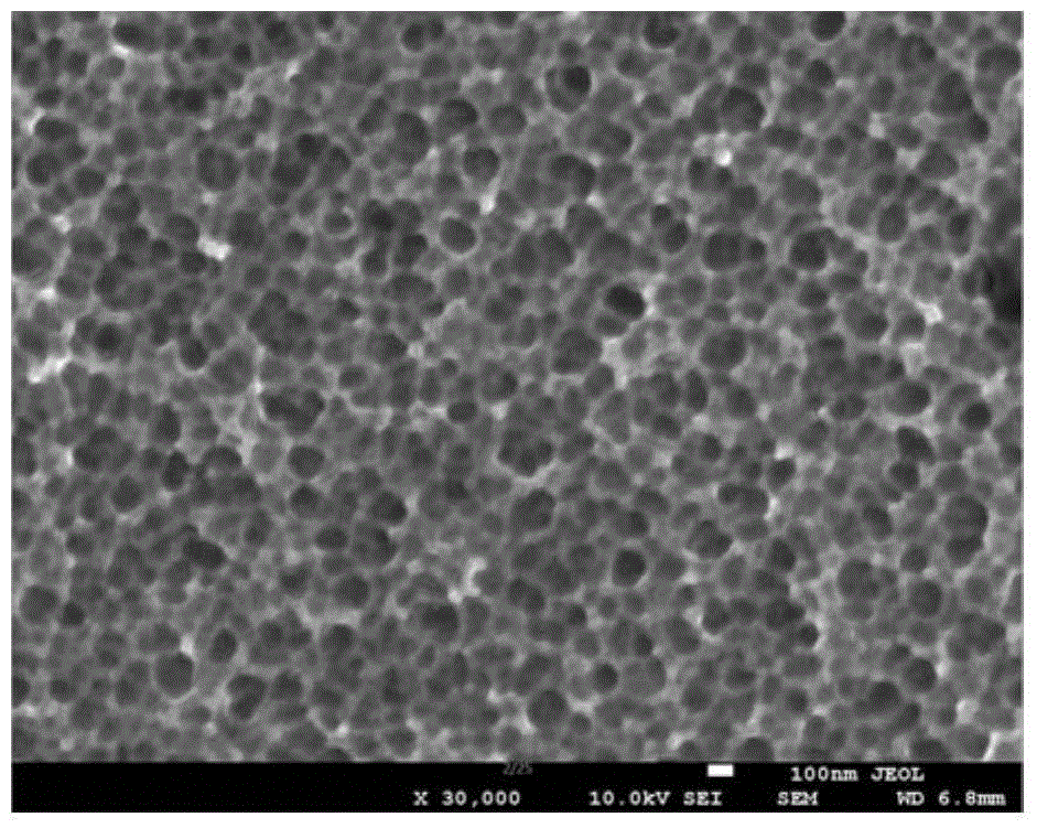 A kind of preparation method of surface porous niti shape memory alloy