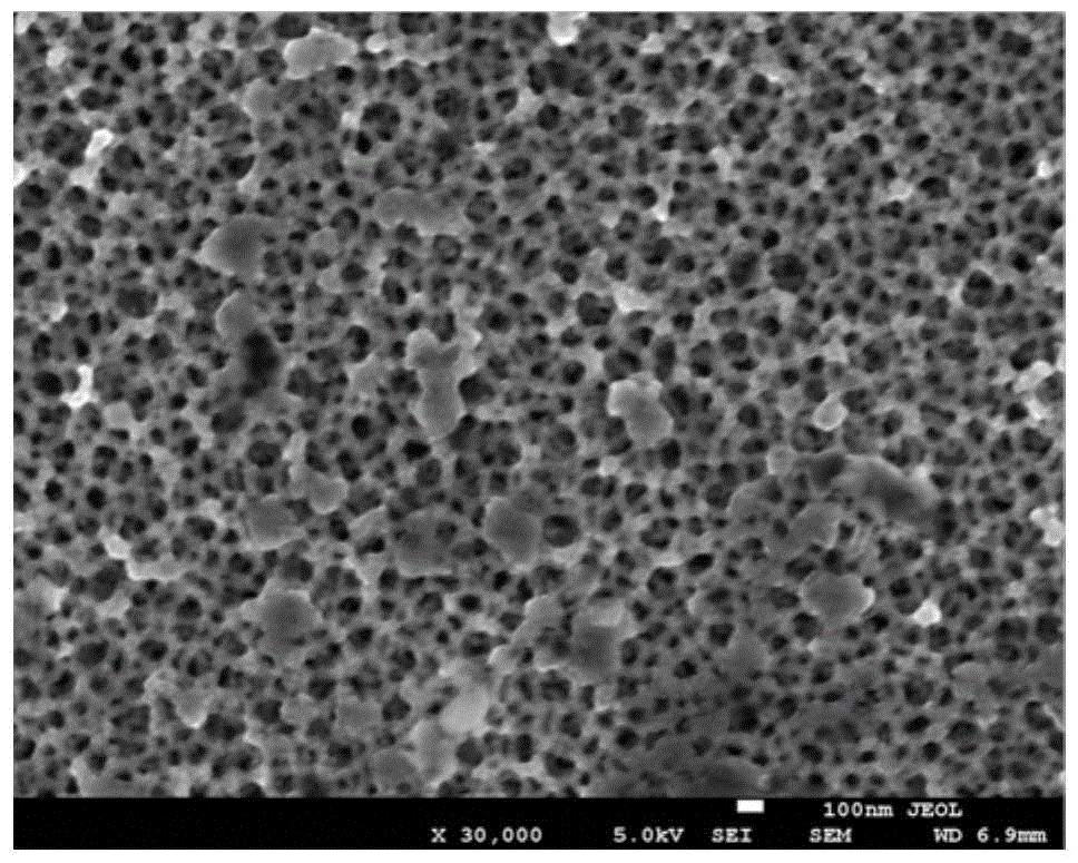 A kind of preparation method of surface porous niti shape memory alloy