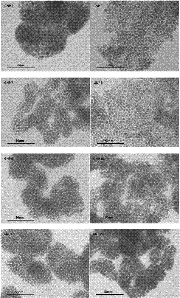 Gold nanoparticle serial compound with surface diversity