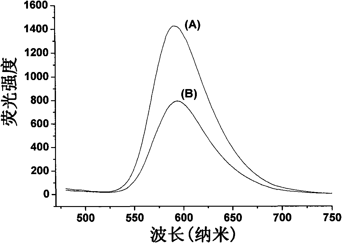 Ru(bpy)3-doped Ag@SiO2 fluorescent nano particles and preparation method thereof