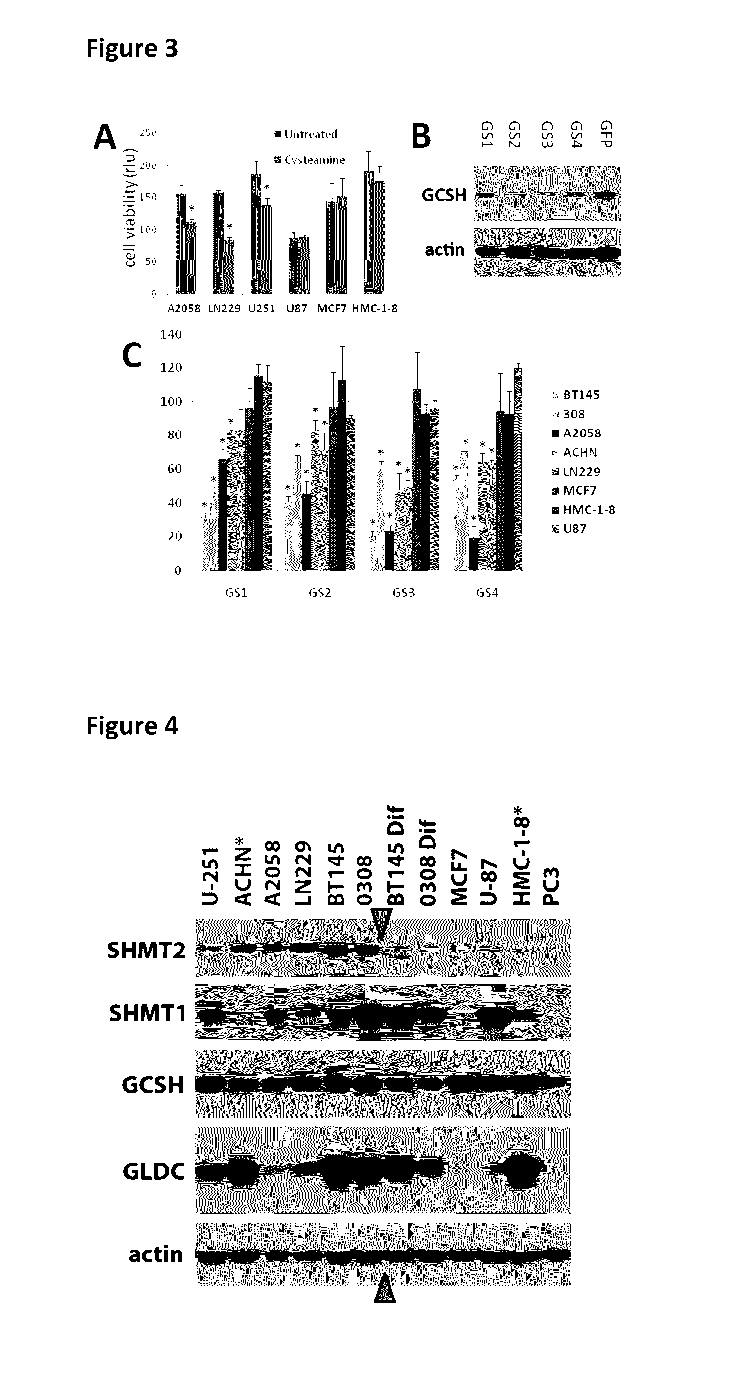 Inhibition of the glycine cleavage system for treatment of cancer