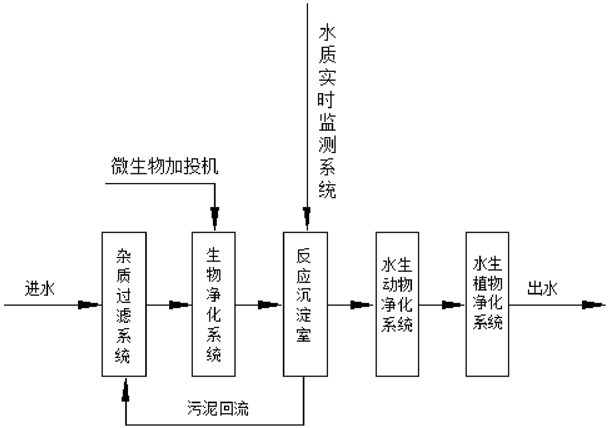 Biological purification system and application thereof in wetland park water treatment