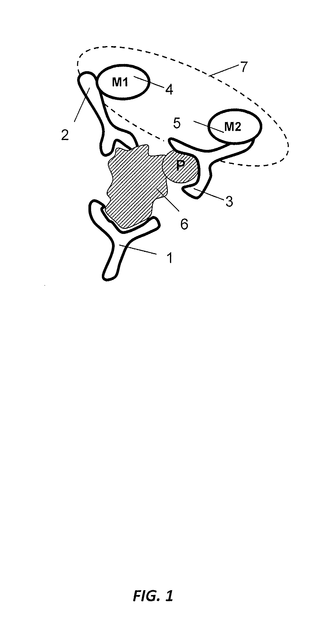 Antibody-based arrays for detecting multiple signal transducers in rare circulating cells