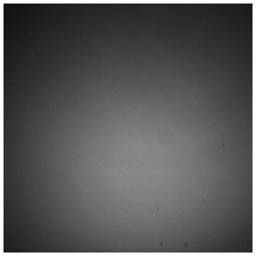 Method for detecting subsurface defects of optical glass