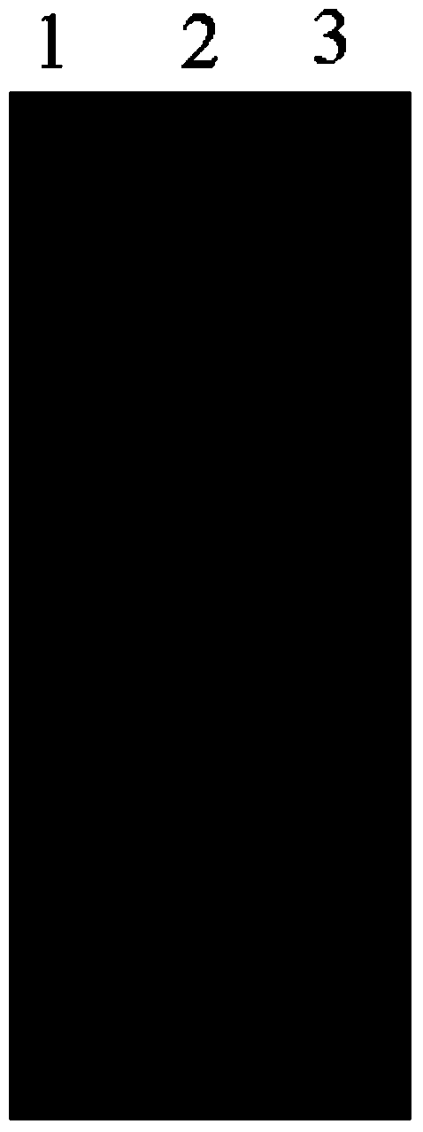 Method for quickly extracting genome DNA of riemerella anatipestifer, and kit