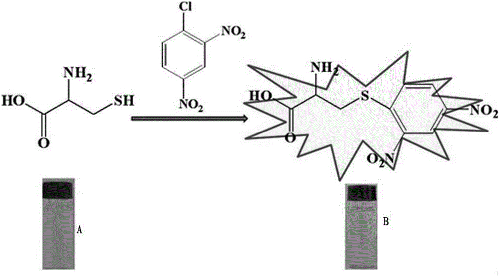 A simple and rapid method for detecting l-cysteine