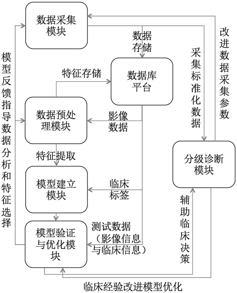 Tumor malignancy risk stratification auxiliary diagnosis system based on artificial intelligence medical imaging