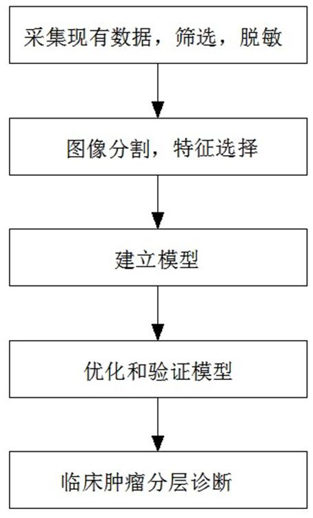 Tumor malignancy risk stratification auxiliary diagnosis system based on artificial intelligence medical imaging