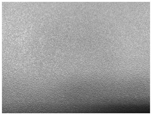 Polyurethane self-skinning cushion water-based coating and polyurethane self-skinning cushion