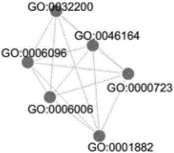 Multi-disease mutation site analysis method based on function network