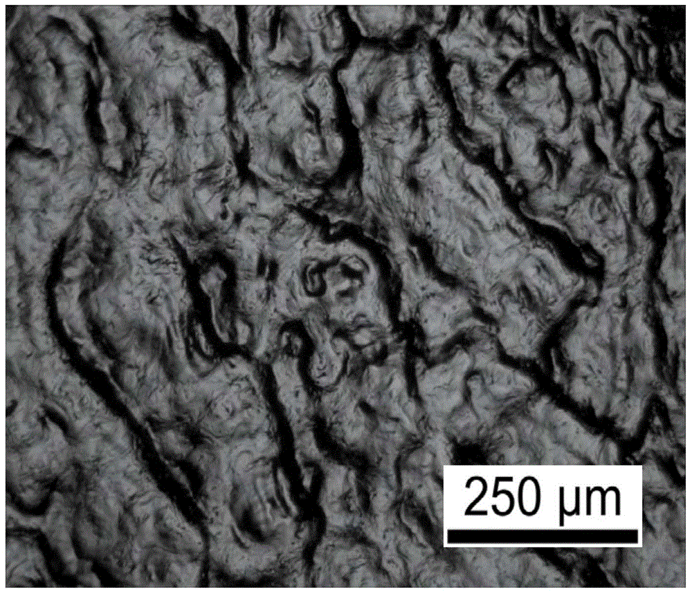 Surface modification method of medical magnesium alloy