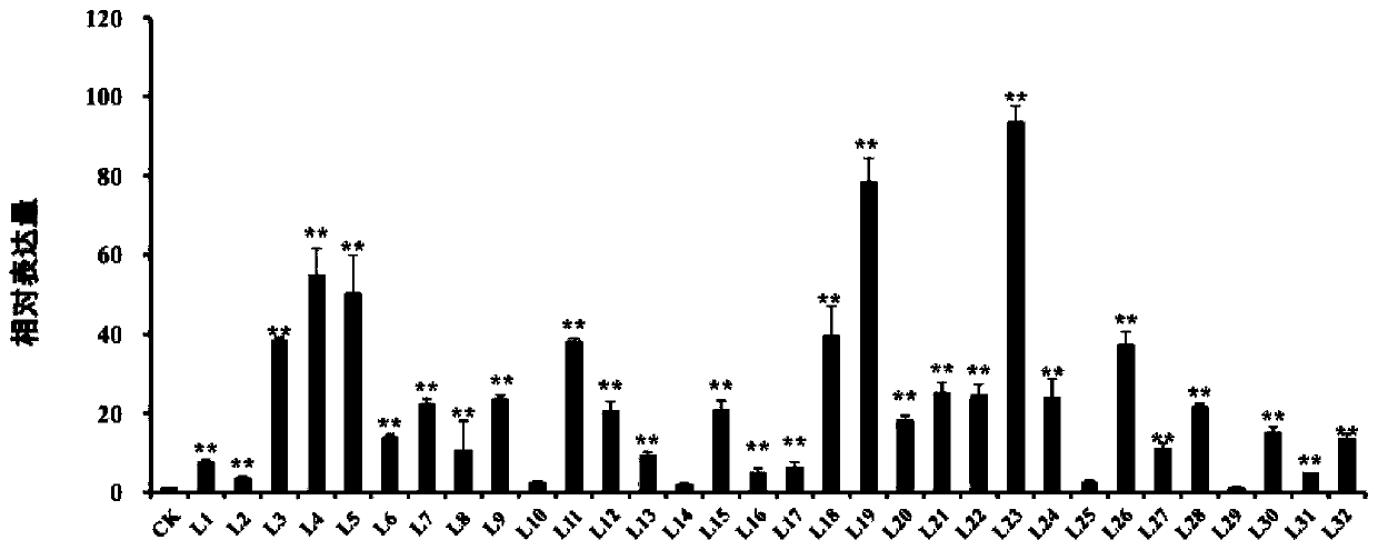 IbAITR5 gene derived from ipomoea batatas, protein encoded by IbAITR5 gene and application of protein