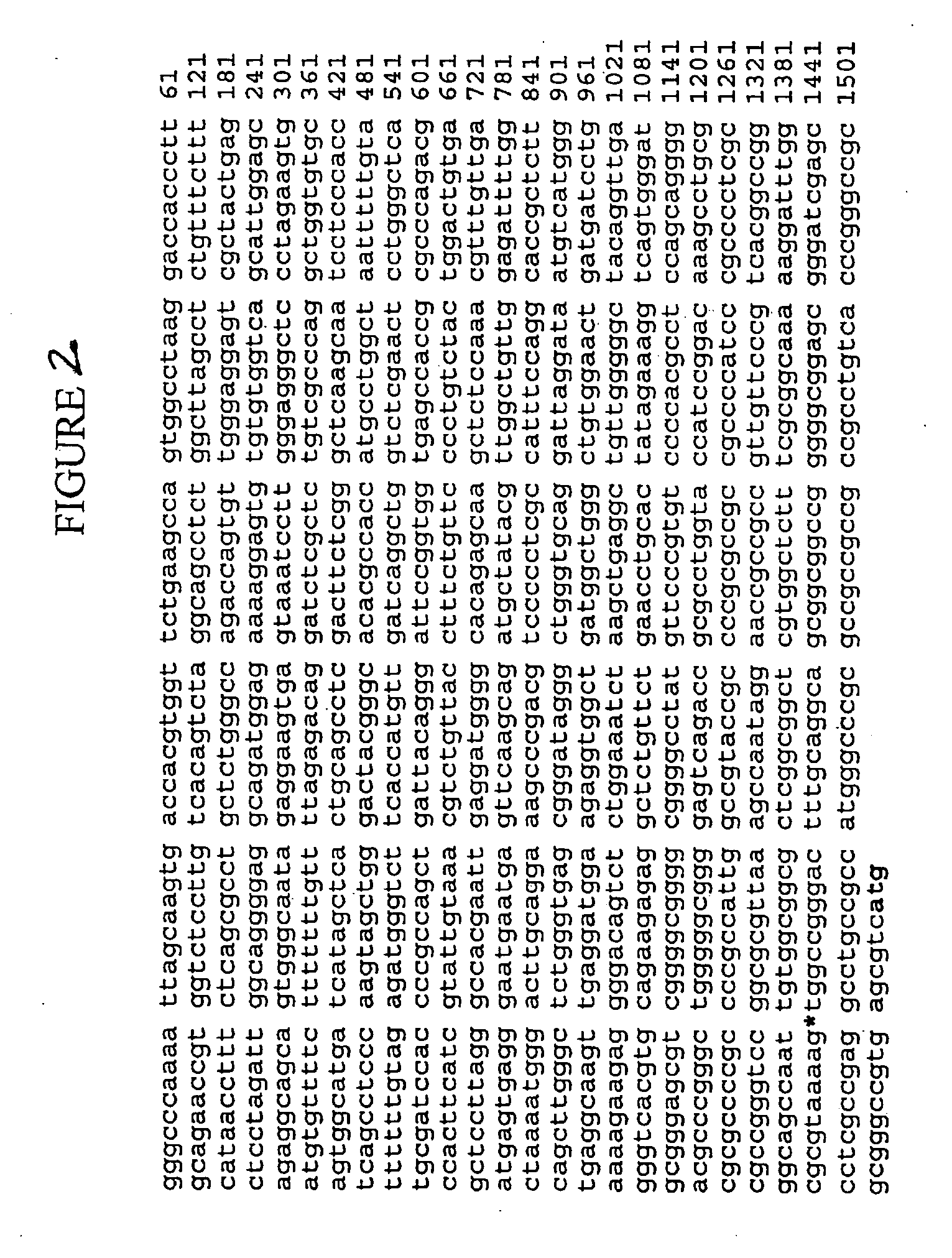 Adenovirus vectors containing cell status-specific response elements and methods of use thereof