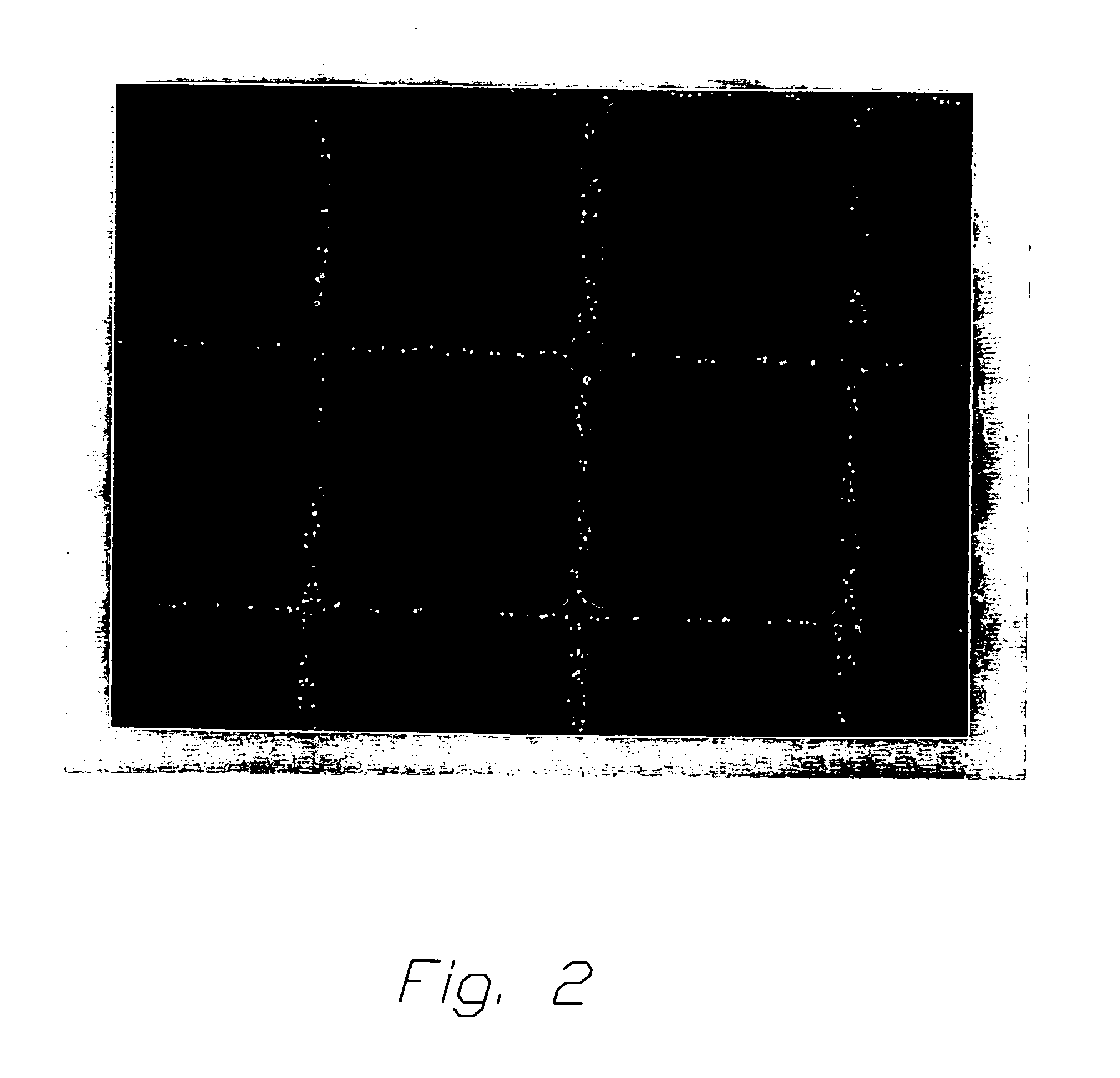 Structure of an electromagnetic shield layer for a plasma display panel and method for manufacturing the same