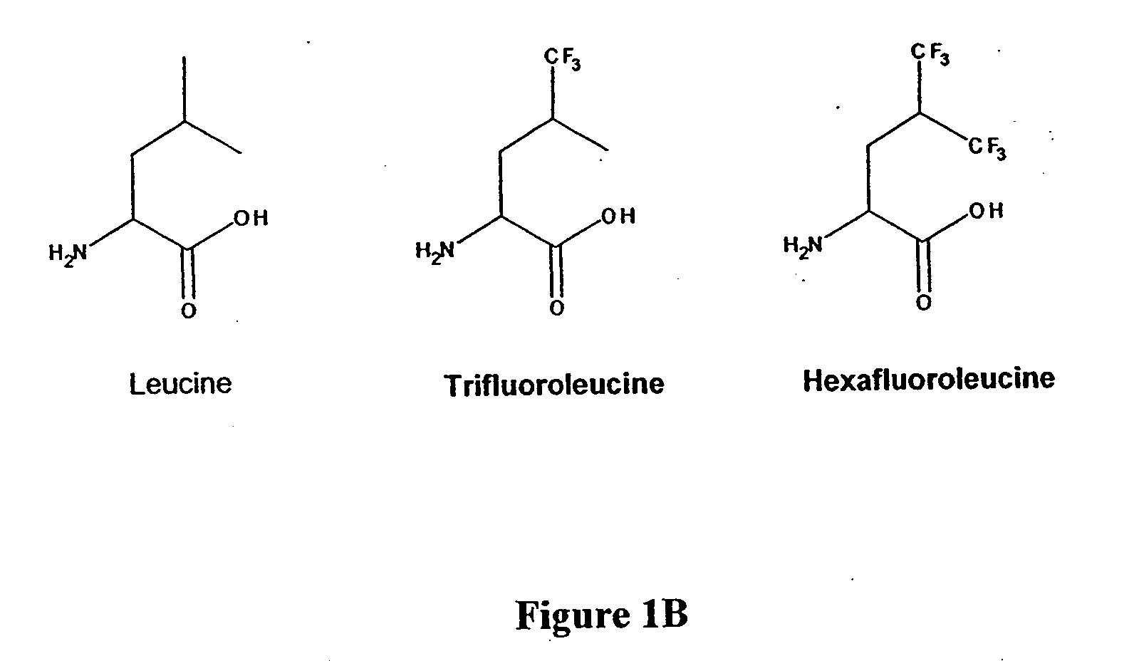 Method for stabilization of proteins using non-natural amino acids