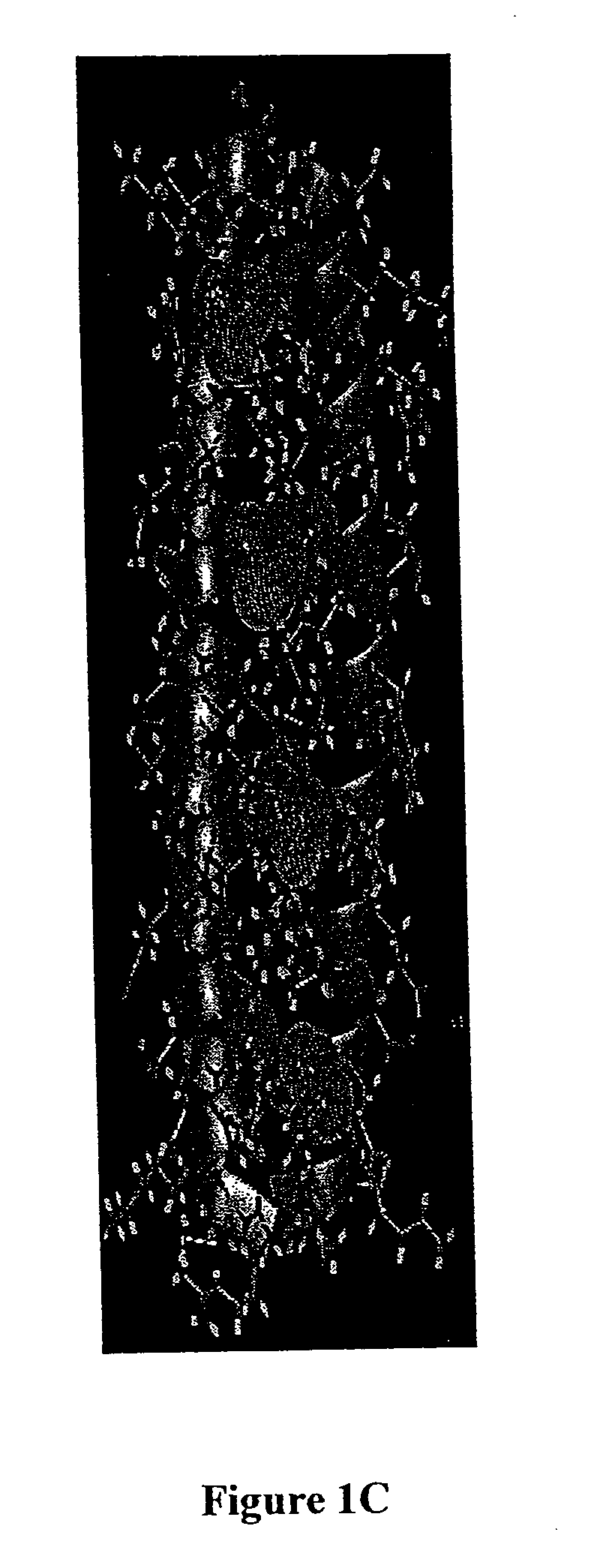 Method for stabilization of proteins using non-natural amino acids