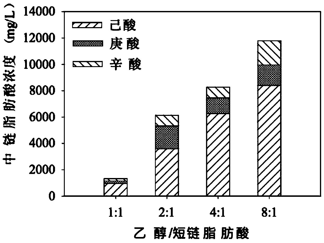 Method for producing medium-chain fatty acid from fermented liquor of livestock and poultry manure