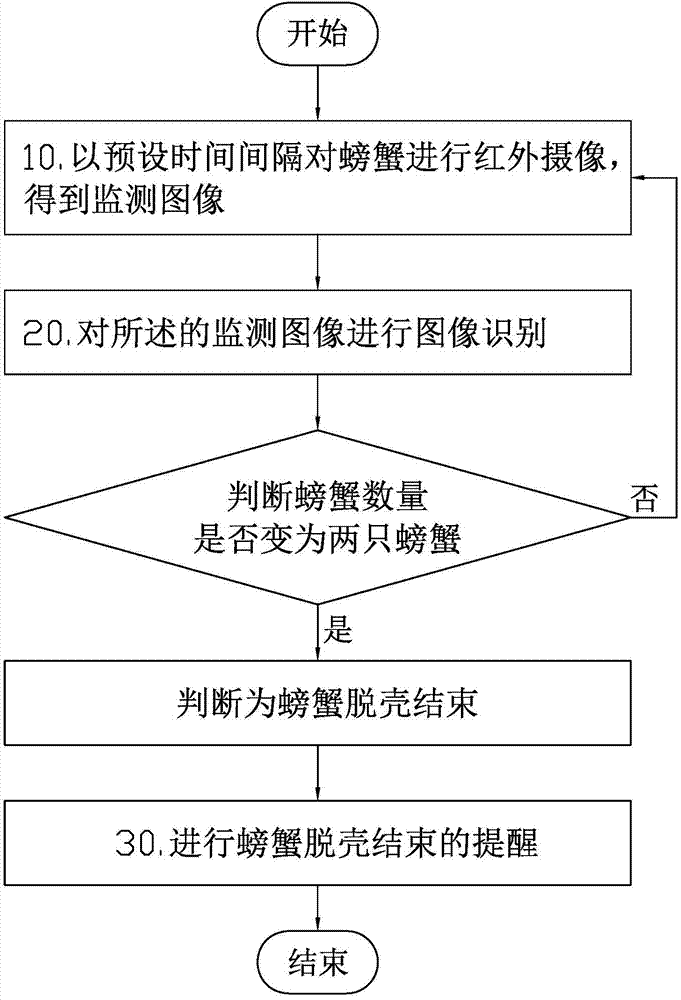 Infrared monitoring method and device for crab shelling
