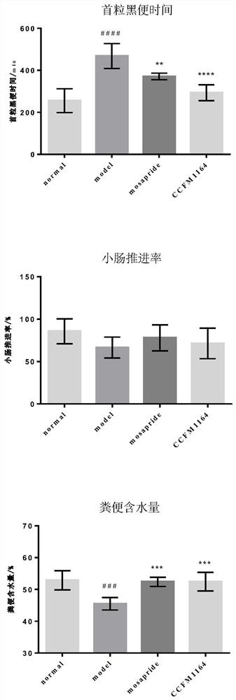 Lactobacillus paracasei for relieving diarrhea colon and application of lactobacillus paracasei