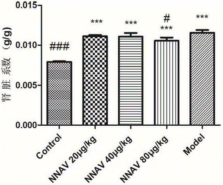 Use of physically modified Chinese cobra snake venom in the preparation of medicines for treating acute and chronic kidney diseases